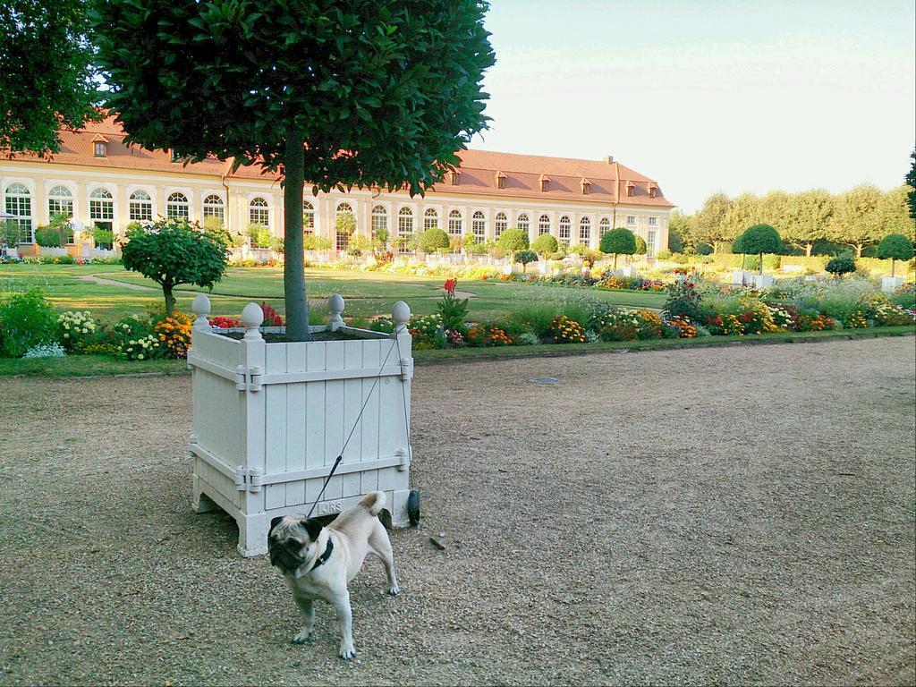 Der Platengarten Ансбах Экстерьер фото